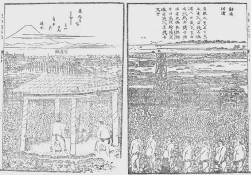Fig. 19